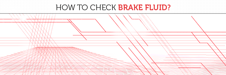 How to check brake fluid
